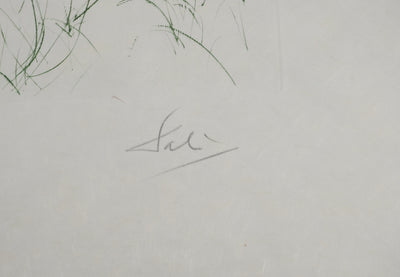 Salvador DALI : Dernier combat de Tristan, Gravure originale (photo de détail 6) - Crédit photo : Galerie Art.Paris