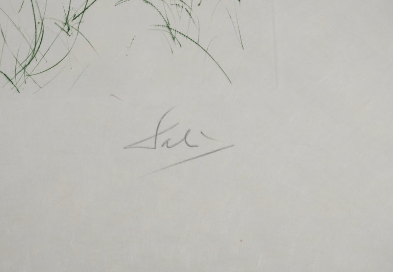 Salvador DALI : Dernier combat de Tristan, Gravure originale (photo de détail 6) - Crédit photo : Galerie Art.Paris