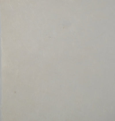 Salvador DALI : Dernier combat de Tristan, Gravure originale (photo de détail 7) - Crédit photo : Galerie Art.Paris
