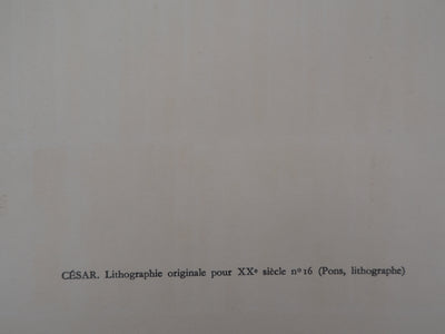  CESAR : Spectres de lumière, Lithographie originale (photo de détail 6) - Crédit photo : Galerie Art.Paris