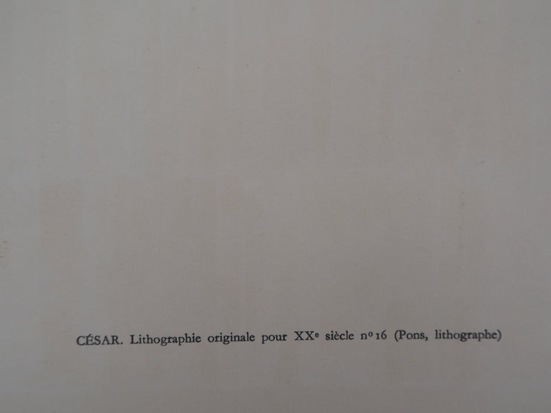  CESAR : Spectres de lumière, Lithographie originale (photo de détail 6) - Crédit photo : Galerie Art.Paris