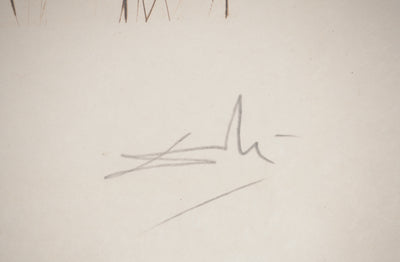 Salvador DALI : Médecine : Hippocrate, Gravure originale (photo de détail 2) - Crédit photo : Galerie Art.Paris