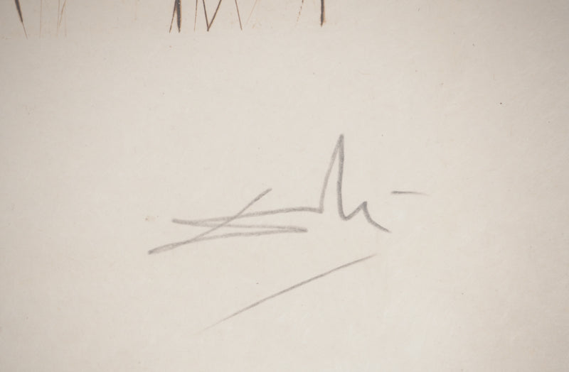 Salvador DALI : Médecine : Hippocrate, Gravure originale (photo de détail 2) - Crédit photo : Galerie Art.Paris
