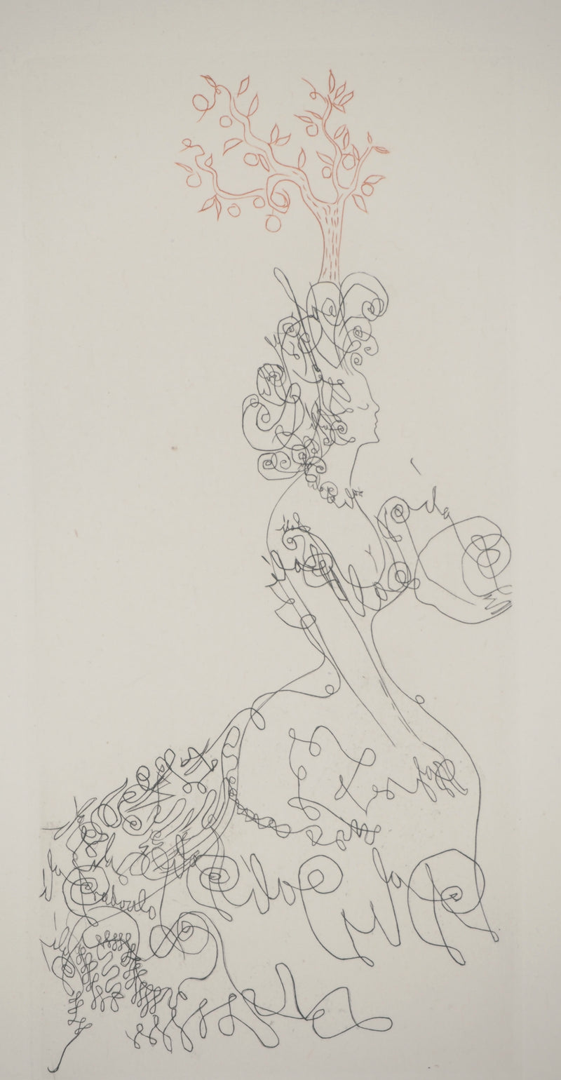 Salvador DALI : La dame de l&