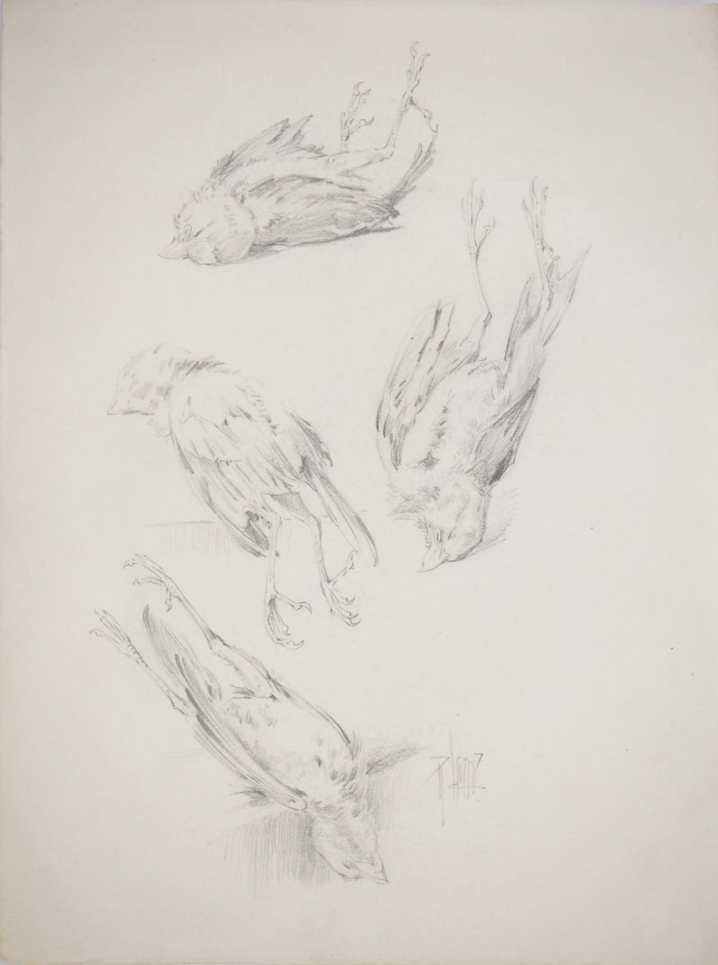 René LEVERD : Les oiseaux, Dessin original signé