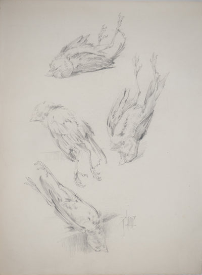 René LEVERD : Les oiseaux, Dessin original signé