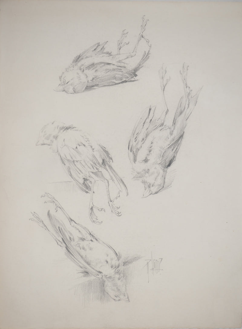 René LEVERD : Les oiseaux, Dessin original signé