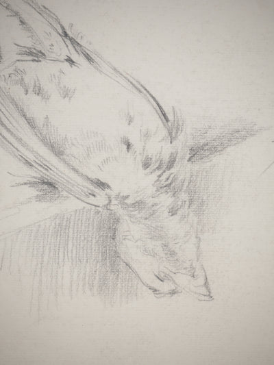 René LEVERD : Les oiseaux, Dessin original signé