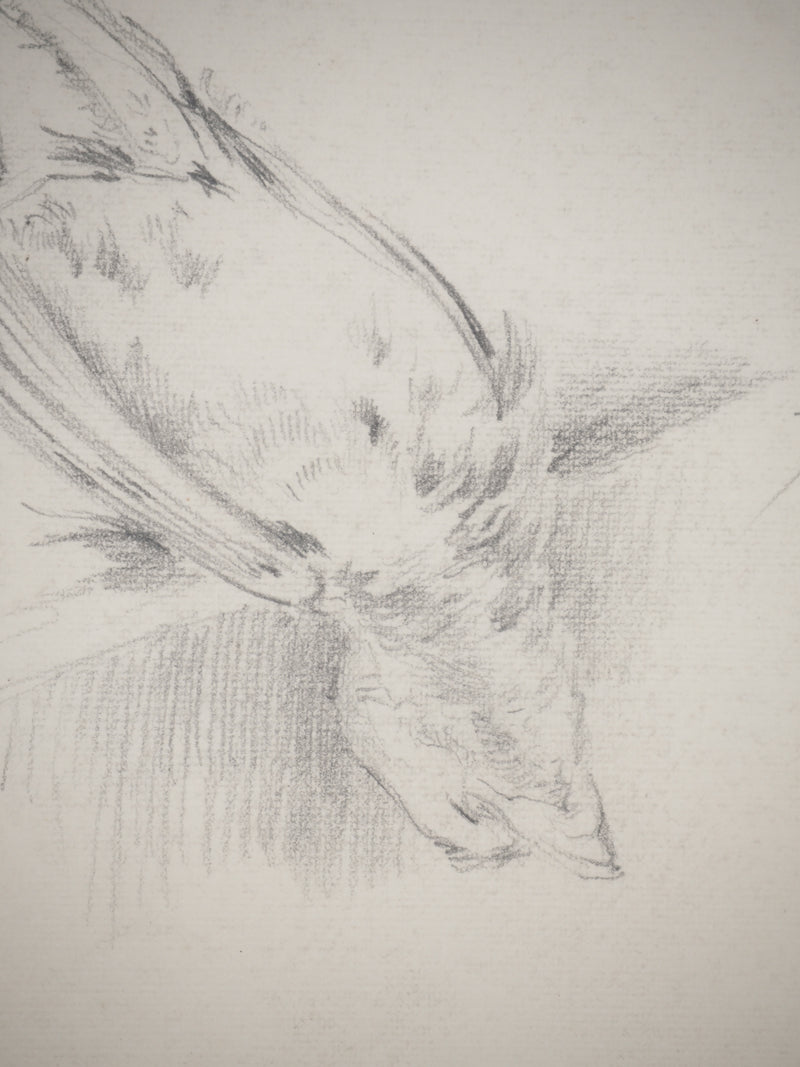 René LEVERD : Les oiseaux, Dessin original signé