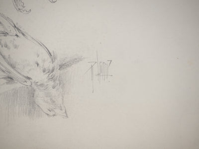 René LEVERD : Les oiseaux, Dessin original signé