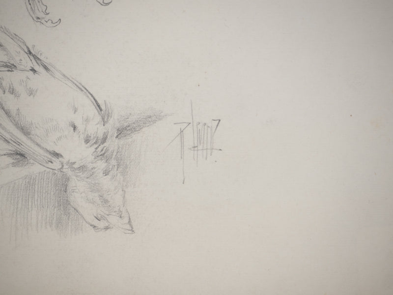 René LEVERD : Les oiseaux, Dessin original signé