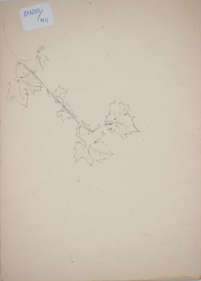 René LEVERD : Lumières à travers les arbres, Aquarelle originale signée
