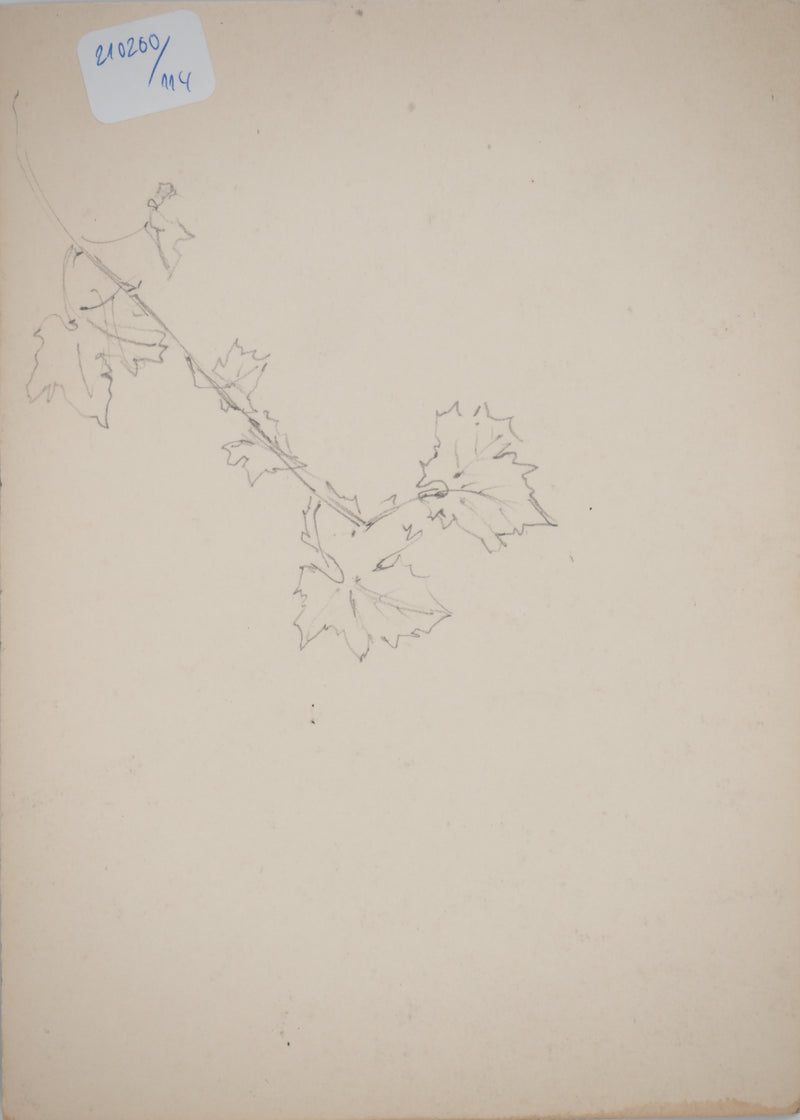 René LEVERD : Lumières à travers les arbres, Aquarelle originale signée