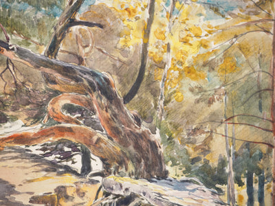 René LEVERD : Le gardien du sentier, Aquarelle originale signée