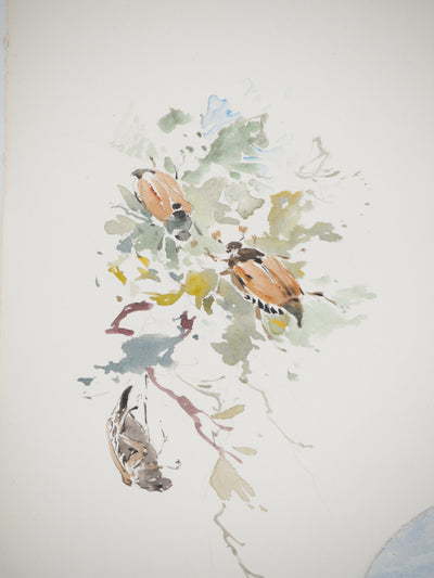 René LEVERD : Suisse, Promenade champêtre et insectes, Aquarelle originale signée