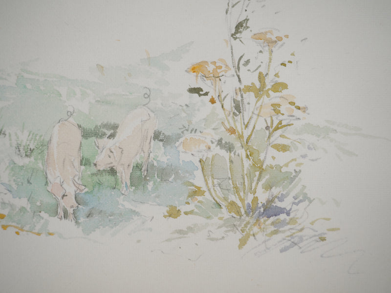 René LEVERD : Les cochons en montagne, Aquarelle originale signée