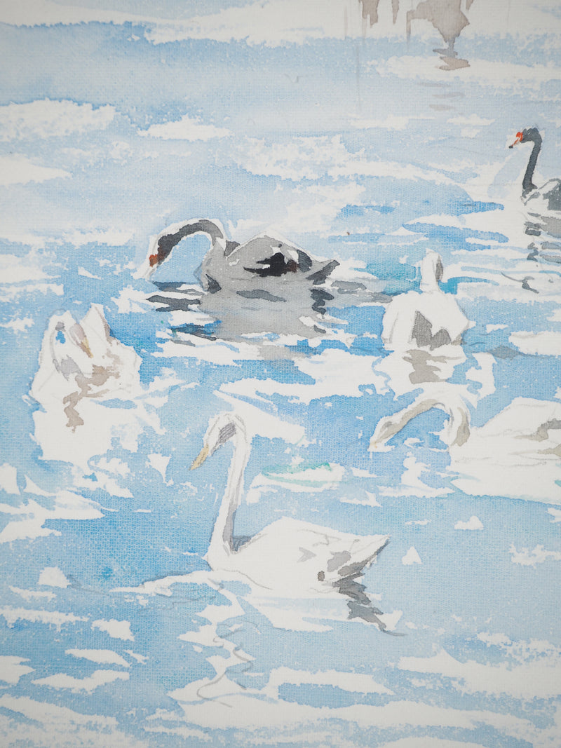 René LEVERD : Suisse, Cygnes de Genève, Aquarelle originale