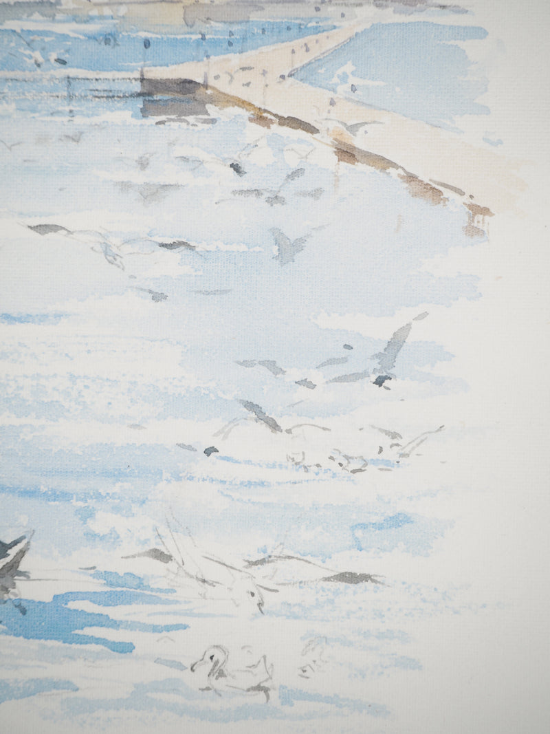 René LEVERD : Suisse, Cygnes de Genève, Aquarelle originale