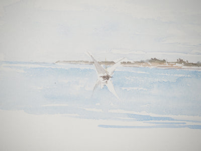 René LEVERD : Vol au-dessus du lac, Aquarelle originale signée