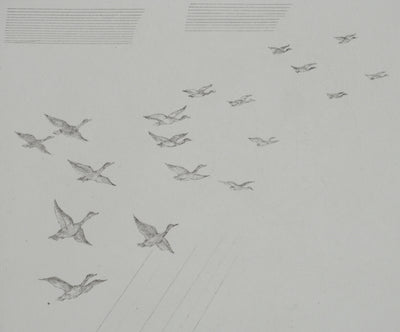 Jean-Emile LABOUREUR : Bretagne, Le vol de canards, Gravure originale (photo de détail 5) - Crédit photo : Galerie Art.Paris