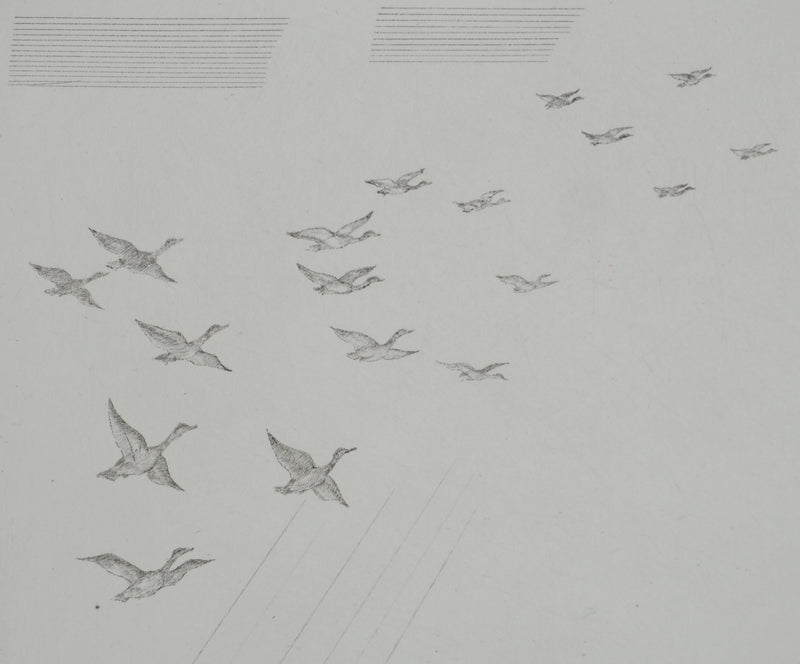 Jean-Emile LABOUREUR : Bretagne, Le vol de canards, Gravure originale (photo de détail 5) - Crédit photo : Galerie Art.Paris