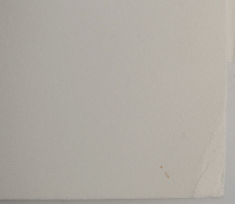 André LANSKOY : Composition sur fond jaune, Lithographie originale (photo de détail 8) - Crédit photo : Galerie Art.Paris