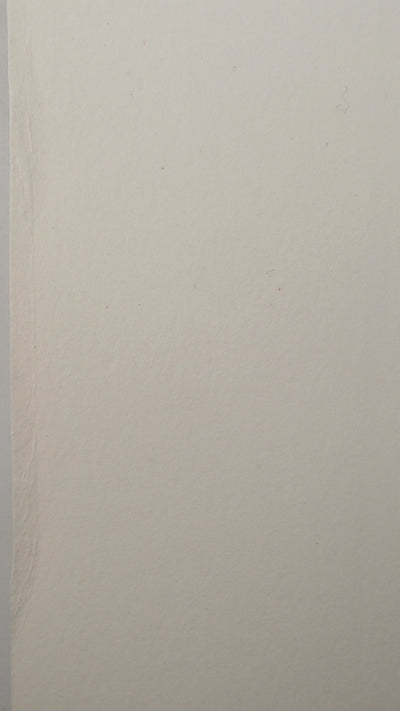 André LANSKOY : Forêt abstraite, Lithographie originale (photo de détail 7) - Crédit photo : Galerie Art.Paris