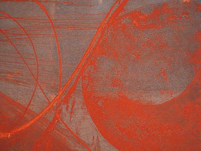 Salvador DALI : Interaction gravitationnelle, Gravure originale (photo de détail 5) - Crédit photo : Galerie Art.Paris