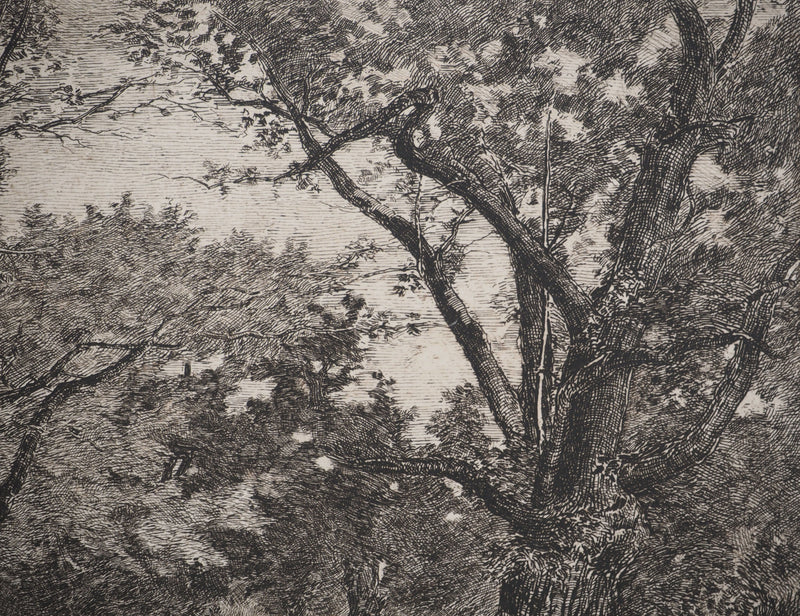 Camille BERNIER : Paysage de campagne, Héliogravure originale (photo de détail 5) - Crédit photo : Galerie Art.Paris