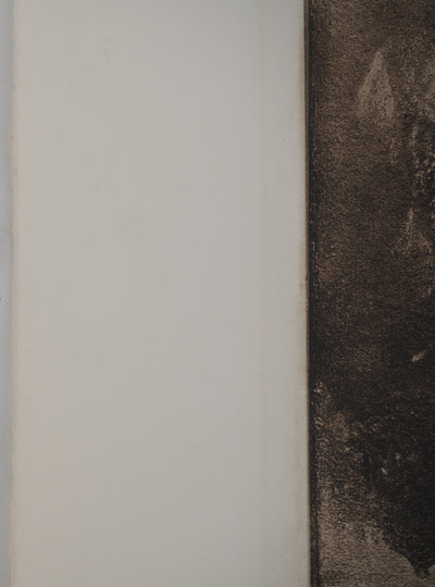 Maurice Quentin DE LA TOUR : Portrait de Mademoiselle Fel, Héliogravure originale (photo de détail 9) - Crédit photo : Galerie Art.Paris