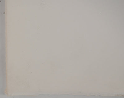 Maurice Quentin DE LA TOUR : Portrait de Mademoiselle Fel, Héliogravure originale (photo de détail 8) - Crédit photo : Galerie Art.Paris