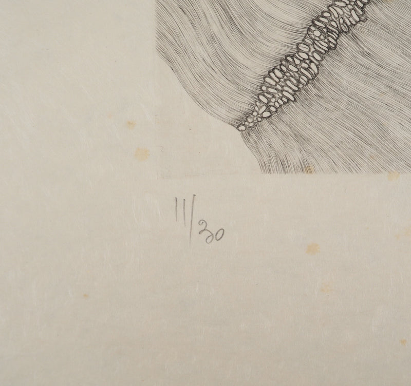Fred DEUX : Devenir, Gravure originale (photo de détail 6) - Crédit photo : Galerie Art.Paris
