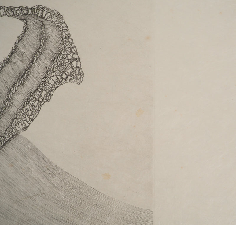 Fred DEUX : Devenir, Gravure originale (photo de détail 8) - Crédit photo : Galerie Art.Paris