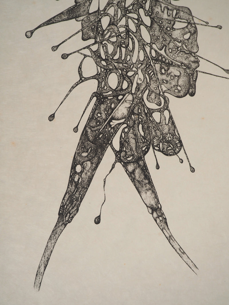 Fred DEUX : Fou, Gravure originale (photo de détail 5) - Crédit photo : Galerie Art.Paris