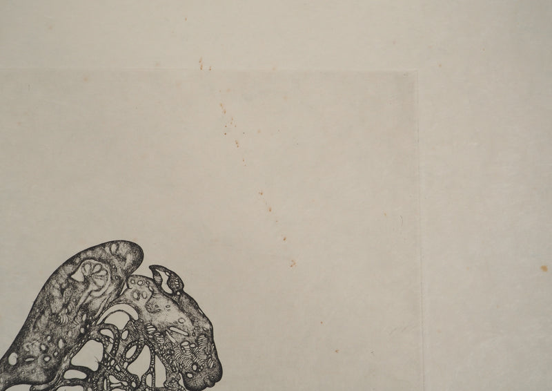 Fred DEUX : Fou, Gravure originale (photo de détail 9) - Crédit photo : Galerie Art.Paris