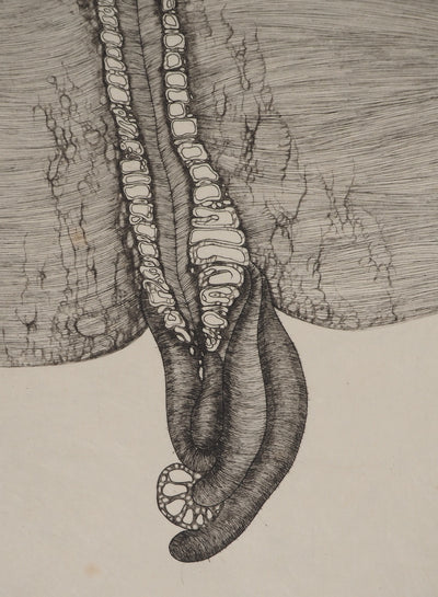 Fred DEUX : Blessure, Gravure originale (photo de détail 4) - Crédit photo : Galerie Art.Paris