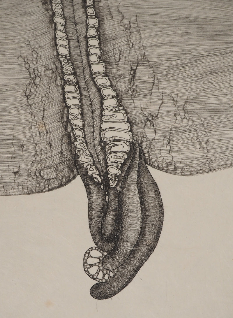 Fred DEUX : Blessure, Gravure originale (photo de détail 4) - Crédit photo : Galerie Art.Paris