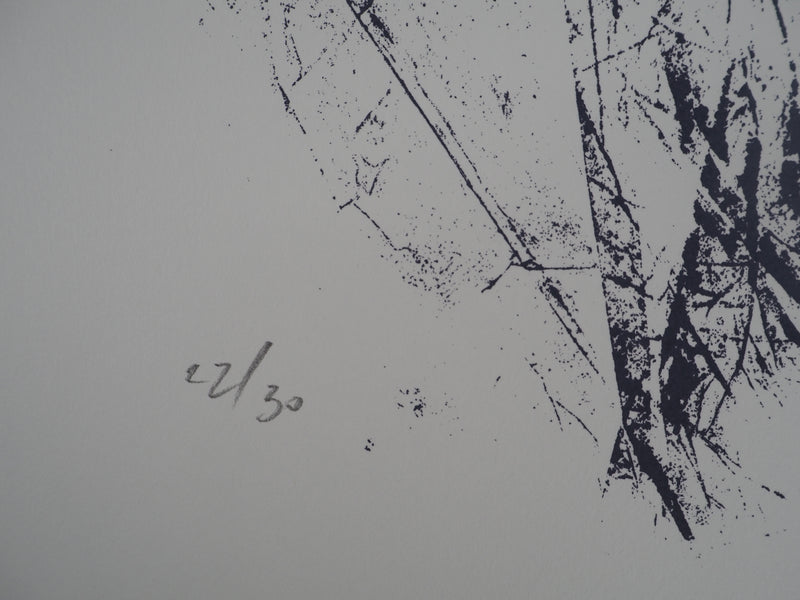 Georges PATITUCCI : Floraison organique, Sérigraphie originale signée