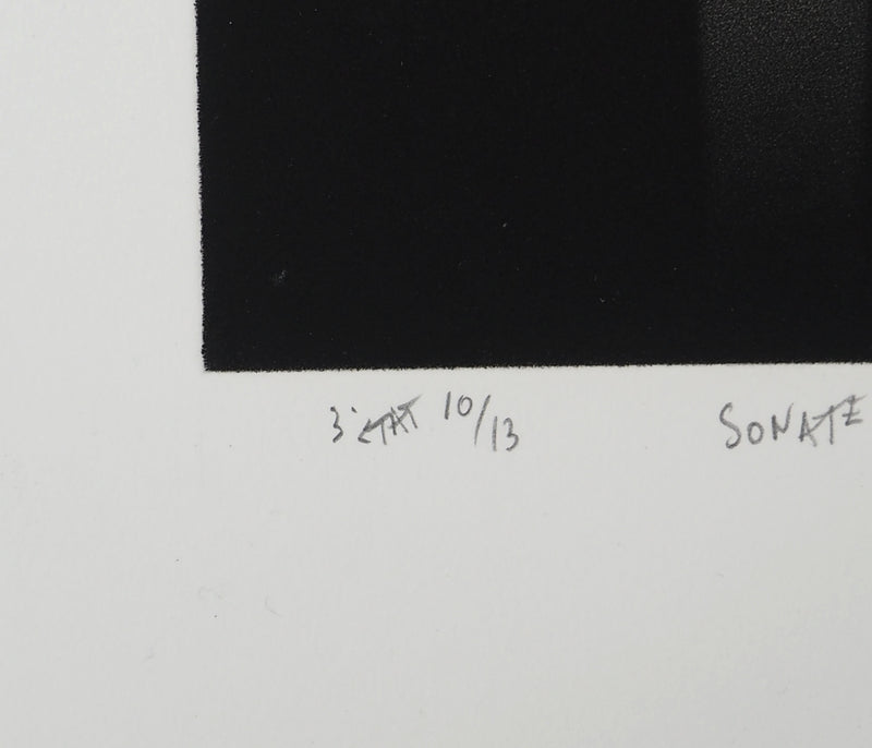 Mario AVATI : Sonate avec quelques paires de lunettes, Gravure originale (photo de détail 6) - Crédit photo : Galerie Art.Paris