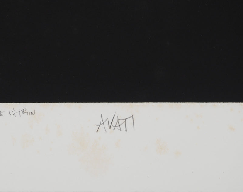 Mario AVATI : Le goût acide du jaune citron, Gravure originale (photo de détail 2) - Crédit photo : Galerie Art.Paris