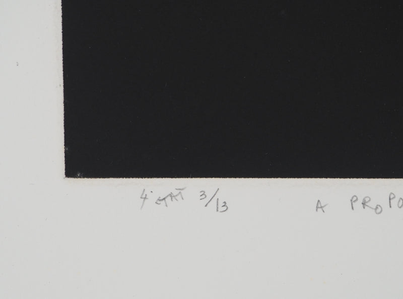 Mario AVATI : A propos de Nostradamus, Gravure originale (photo de détail 6) - Crédit photo : Galerie Art.Paris