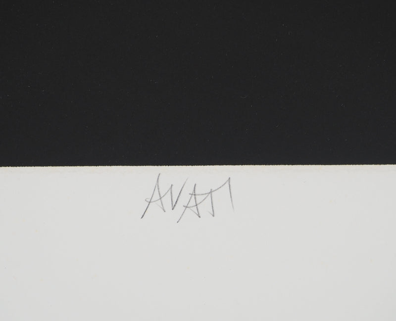 Mario AVATI : A propos de Nostradamus, Gravure originale (photo de détail 2) - Crédit photo : Galerie Art.Paris