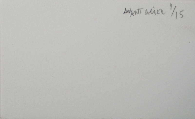 Mario AVATI : Les derniers instants d&