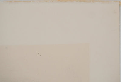Pierre-Eugène CLAIRIN : Chute de feuilles, Lithographie originale (photo de détail 6) - Crédit photo : Galerie Art.Paris
