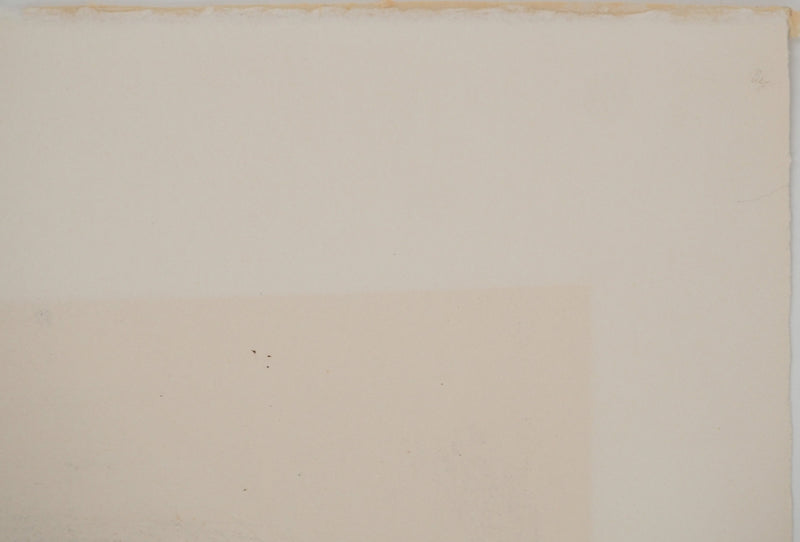 Pierre-Eugène CLAIRIN : Chute de feuilles, Lithographie originale (photo de détail 6) - Crédit photo : Galerie Art.Paris
