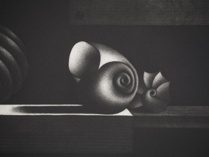 Mario AVATI : Nature morte à l&
