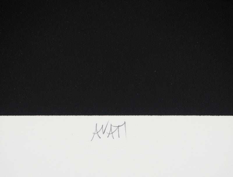 Mario AVATI : La pomme bleue, Gravure originale (photo de détail 2) - Crédit photo : Galerie Art.Paris