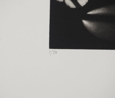 Jacques HOUPLAIN : Le château de Khépri, Gravure originale (photo de détail 7) - Crédit photo : Galerie Art.Paris