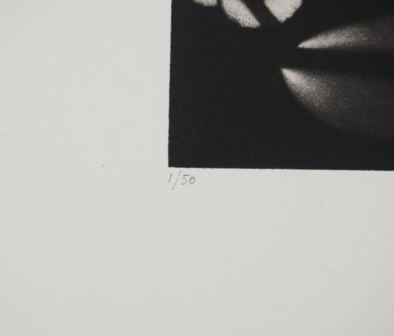 Jacques HOUPLAIN : Le château de Khépri, Gravure originale (photo de détail 7) - Crédit photo : Galerie Art.Paris