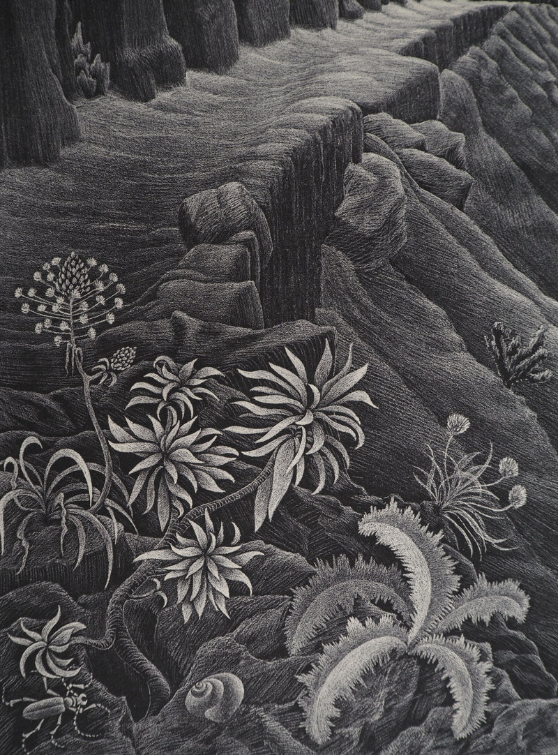 ESCHER M.C. : Paysage italien : Castrovalva, oeuvre originale (photo de détail 6) - Crédit photo : Galerie Art.Paris